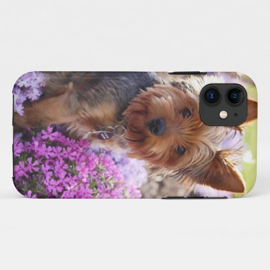 Yorkshire Terrier Carved Wood iPhone Case (Rückseite (Horizontal))