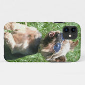 Yorkshire Terrier Case-Mate iPhone Hülle (Rückseite (Horizontal))