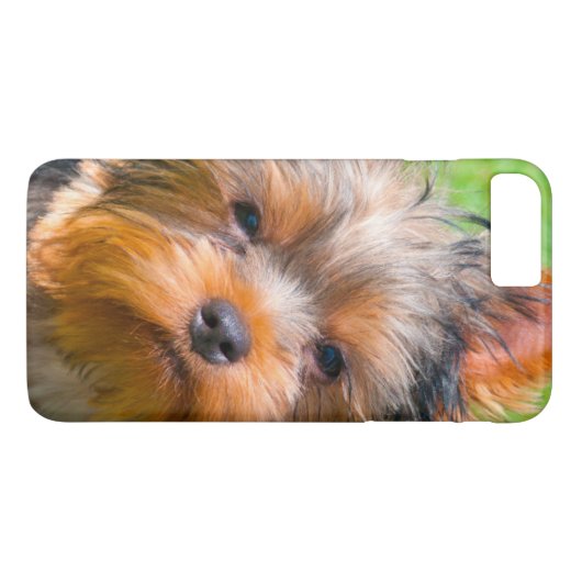 Yorkshire Terrier Case-Mate iPhone Hülle (Rückseite (Horizontal))