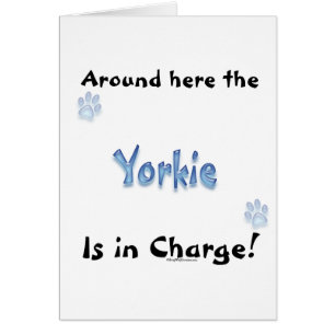 Yorkshire Terrier Charge