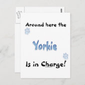 Yorkshire Terrier Charge Postkarte (Vorne/Hinten)