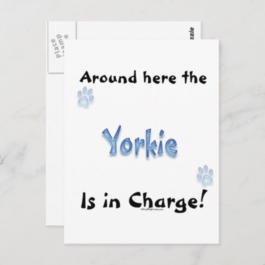 Yorkshire Terrier Charge Postkarte (Vorne/Hinten)