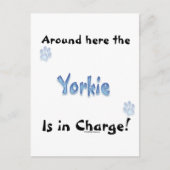 Yorkshire Terrier Charge Postkarte (Vorderseite)