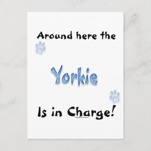 Yorkshire Terrier Charge Postkarte