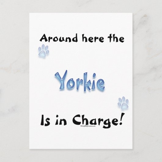 Yorkshire Terrier Charge Postkarte (Vorderseite)