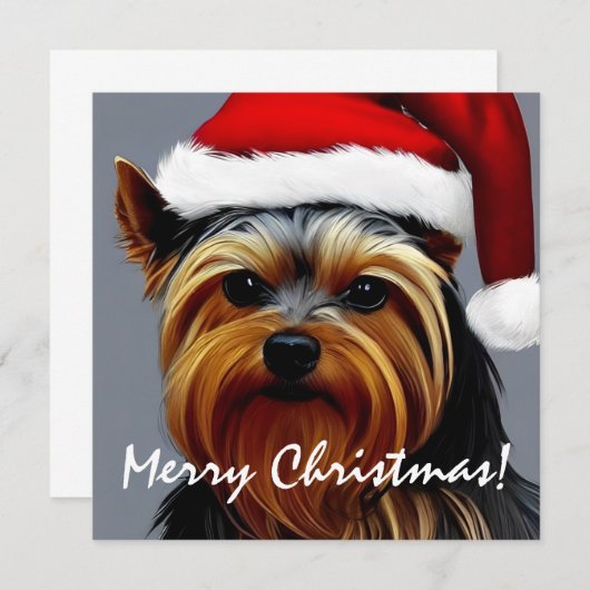 Yorkshire Terrier Christmas (Vorne/Hinten)