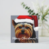 Yorkshire Terrier Christmas (Stehend Vorderseite)