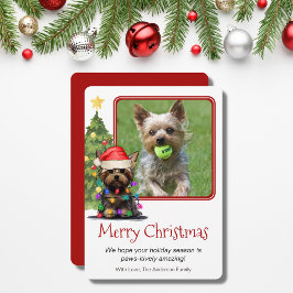 Yorkshire Terrier Christmas Pet Dog One Foto Feiertagskarte
