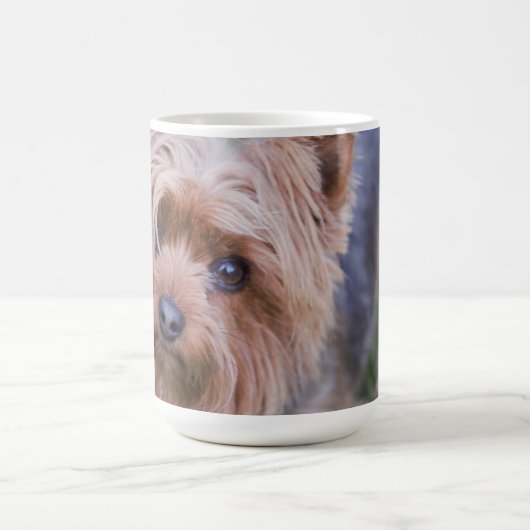 Yorkshire Terrier Closeup Tasse (Mittel)