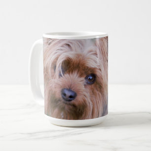 Yorkshire Terrier Closeup Tasse