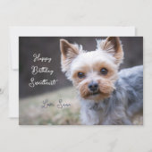 Yorkshire Terrier Custom Birthday Card Karte (Vorderseite)
