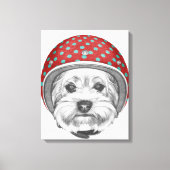 Yorkshire Terrier Daredevil Leinwanddruck (Vorderseite)
