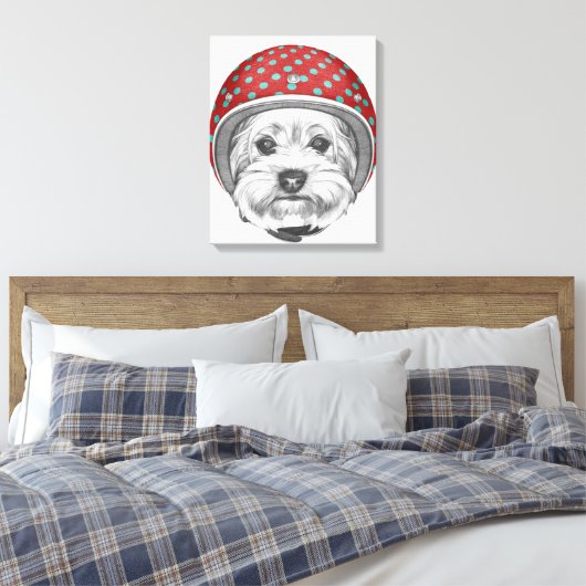 Yorkshire Terrier Daredevil Leinwanddruck (Insitu (Schlafzimmer))