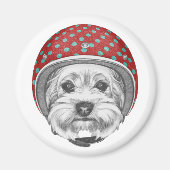 Yorkshire Terrier Daredevil Magnet (Vorne)