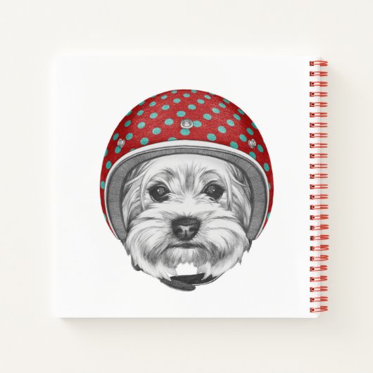 Yorkshire Terrier Daredevil Notizblock (Rückseite)