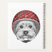 Yorkshire Terrier Daredevil Planer (Rückseite)