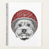 Yorkshire Terrier Daredevil Planer (Vorderseite)