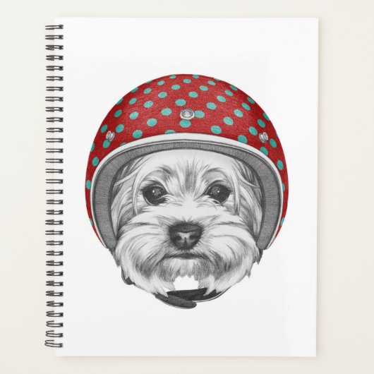 Yorkshire Terrier Daredevil Planer (Vorderseite)