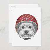 Yorkshire Terrier Daredevil Postkarte (Vorne/Hinten)