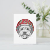 Yorkshire Terrier Daredevil Postkarte (Stehend Vorderseite)