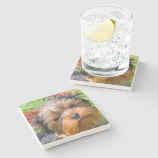 Yorkshire Terrier, das oben schaut Steinuntersetzer (Seitenansicht)