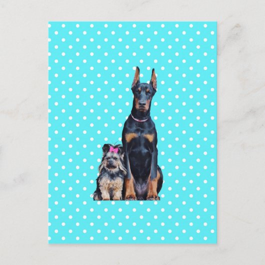 Yorkshire Terrier Doberman Blue Polka Dots Postkarte (Vorderseite)