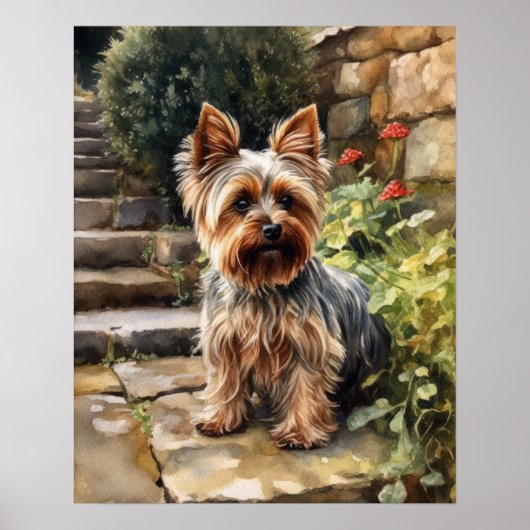 Yorkshire Terrier Dog Art Print Poster (Vorne)