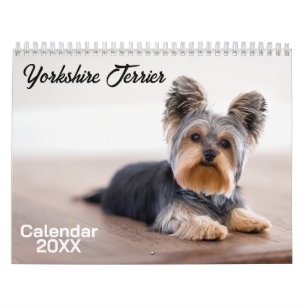 Yorkshire Terrier Dog Calendar 2026 Kalender