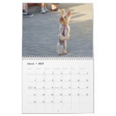 Yorkshire Terrier Dog Calendar 2026 Kalender (Mär 2027)