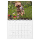 Yorkshire Terrier Dog Calendar 2026 Kalender (Jan 2027)