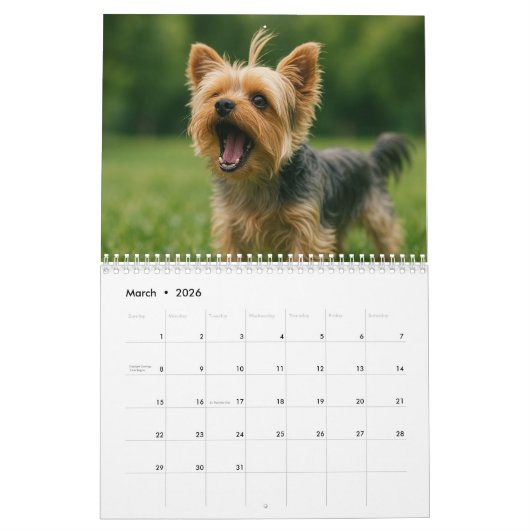 Yorkshire Terrier Dog Calendar 2026 Kalender (Mär 2026)