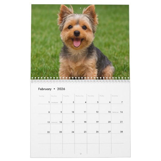 Yorkshire Terrier Dog Calendar 2026 Kalender (Feb 2026)