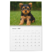 Yorkshire Terrier Dog Calendar 2026 Kalender (Jan 2027)