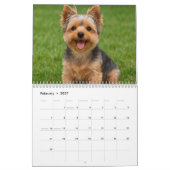 Yorkshire Terrier Dog Calendar 2026 Kalender (Feb 2027)