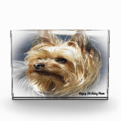 Yorkshire Terrier Dog. Fotoblock (Vorderseite)