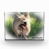 Yorkshire Terrier Dog. Fotoblock (Vorderseite)