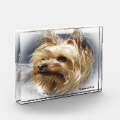 Yorkshire Terrier Dog. Fotoblock (Links)