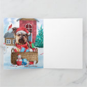 Yorkshire Terrier Dog im Schnee Weihnachtshundehau Karte (Innenseite)