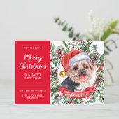 Yorkshire Terrier Dog Inexpensive Weihnachtskarte Karte (Stehend Vorderseite)