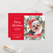 Yorkshire Terrier Dog Inexpensive Weihnachtskarte Karte (Vorderseite/Rückseite Beispiel)