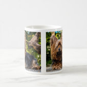 Yorkshire Terrier Dog Kaffeetasse (Mittel)