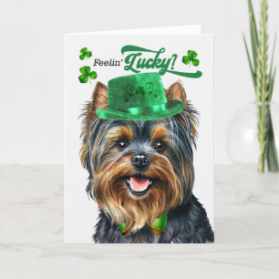 Yorkshire Terrier Dog Lucky St Patrick's Day Feiertagskarte
