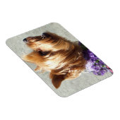 Yorkshire Terrier dog Magnet (Rechte Seite)