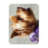 Yorkshire Terrier dog Magnet (Vertikal)