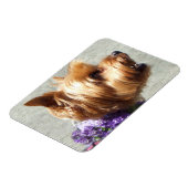 Yorkshire Terrier dog Magnet (Linke Seite)