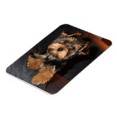 Yorkshire Terrier Dog Magnet (Linke Seite)