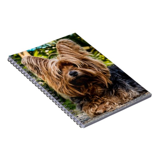 Yorkshire Terrier Dog Notizblock (Rechte Seite)