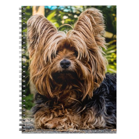 Yorkshire Terrier Dog Notizblock (Vorderseite)