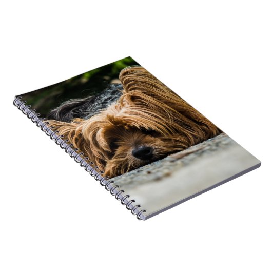 Yorkshire Terrier Dog Notizblock (Rechte Seite)