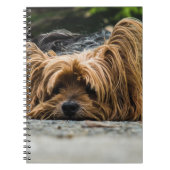 Yorkshire Terrier Dog Notizblock (Vorderseite)